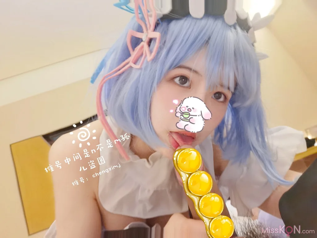 Coser@橙子喵酱: 蕾姆 (35 photos)