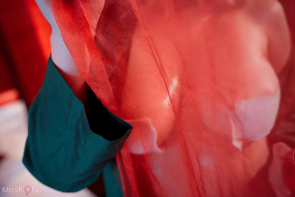 Coser@星澜是澜澜叫澜妹呀: 纲手 (55 photos)