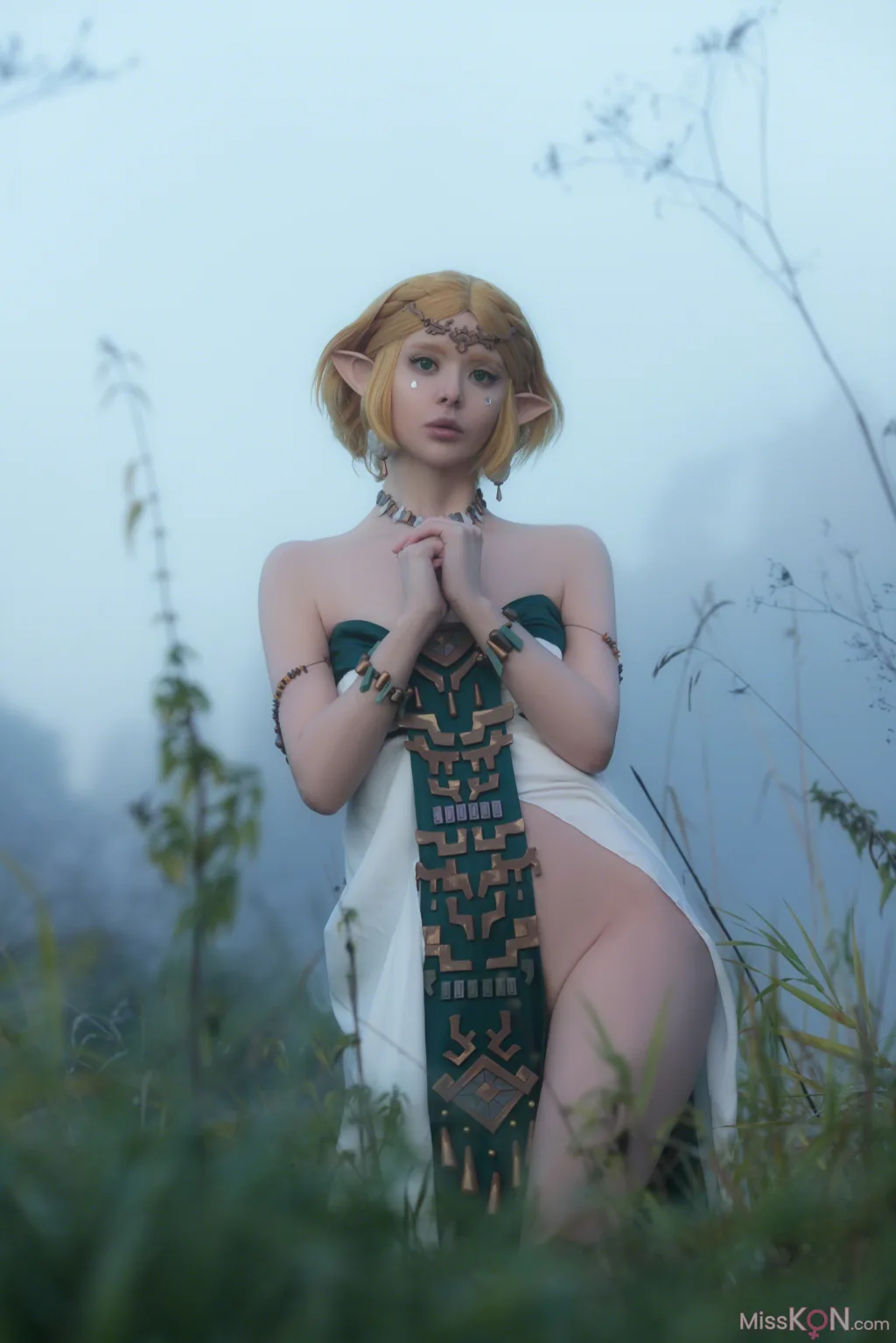 Coser@Vinnegal: Zelda (70 photos)