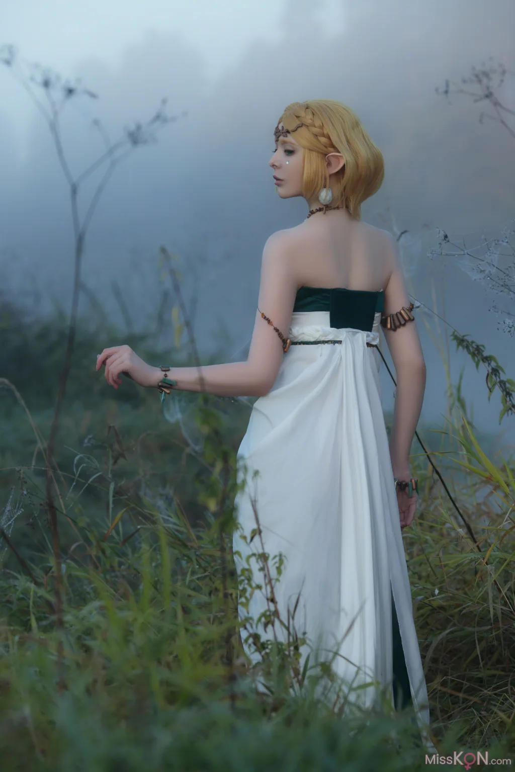 Coser@Vinnegal: Zelda (70 photos)