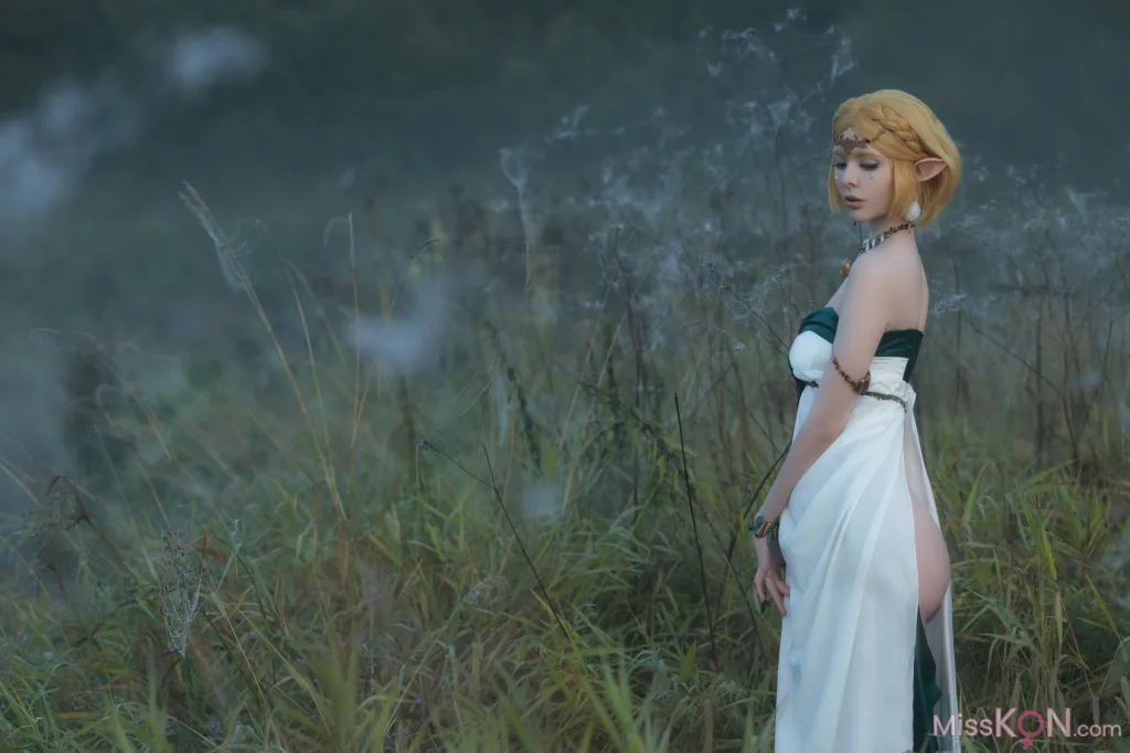 Coser@Vinnegal: Zelda (70 photos)