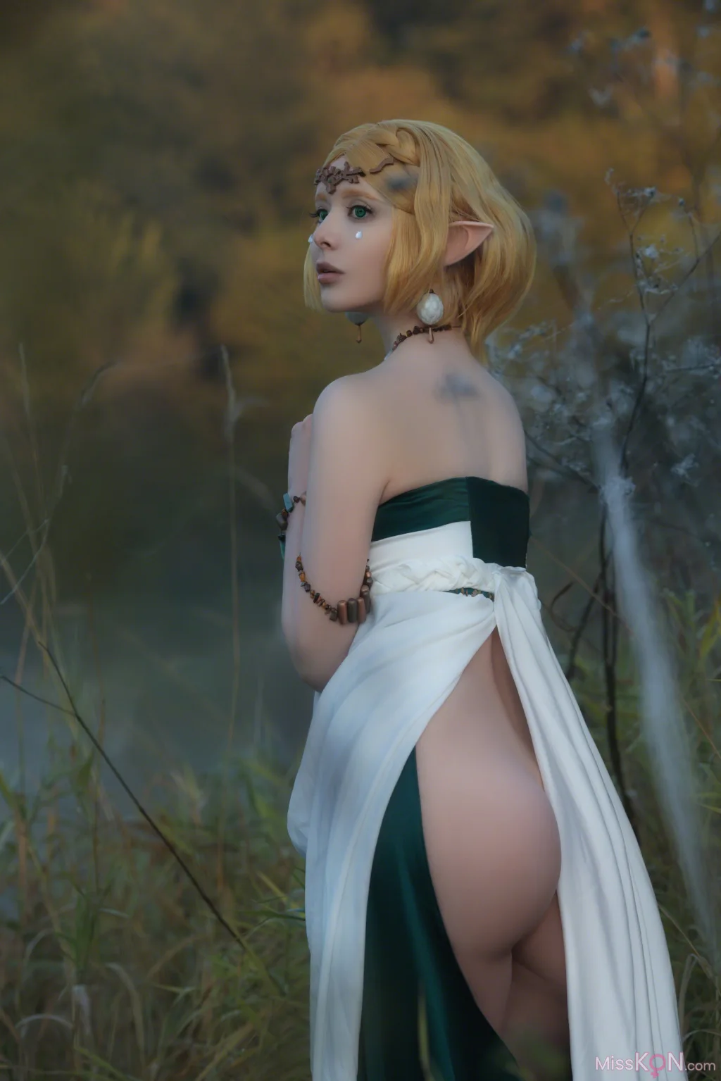 Coser@Vinnegal: Zelda (70 photos)