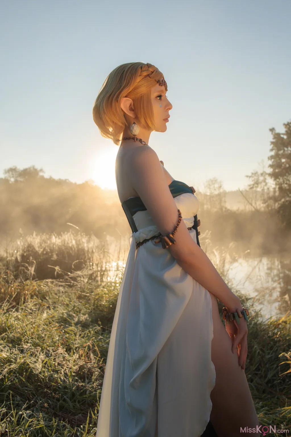 Coser@Vinnegal: Zelda (70 photos)