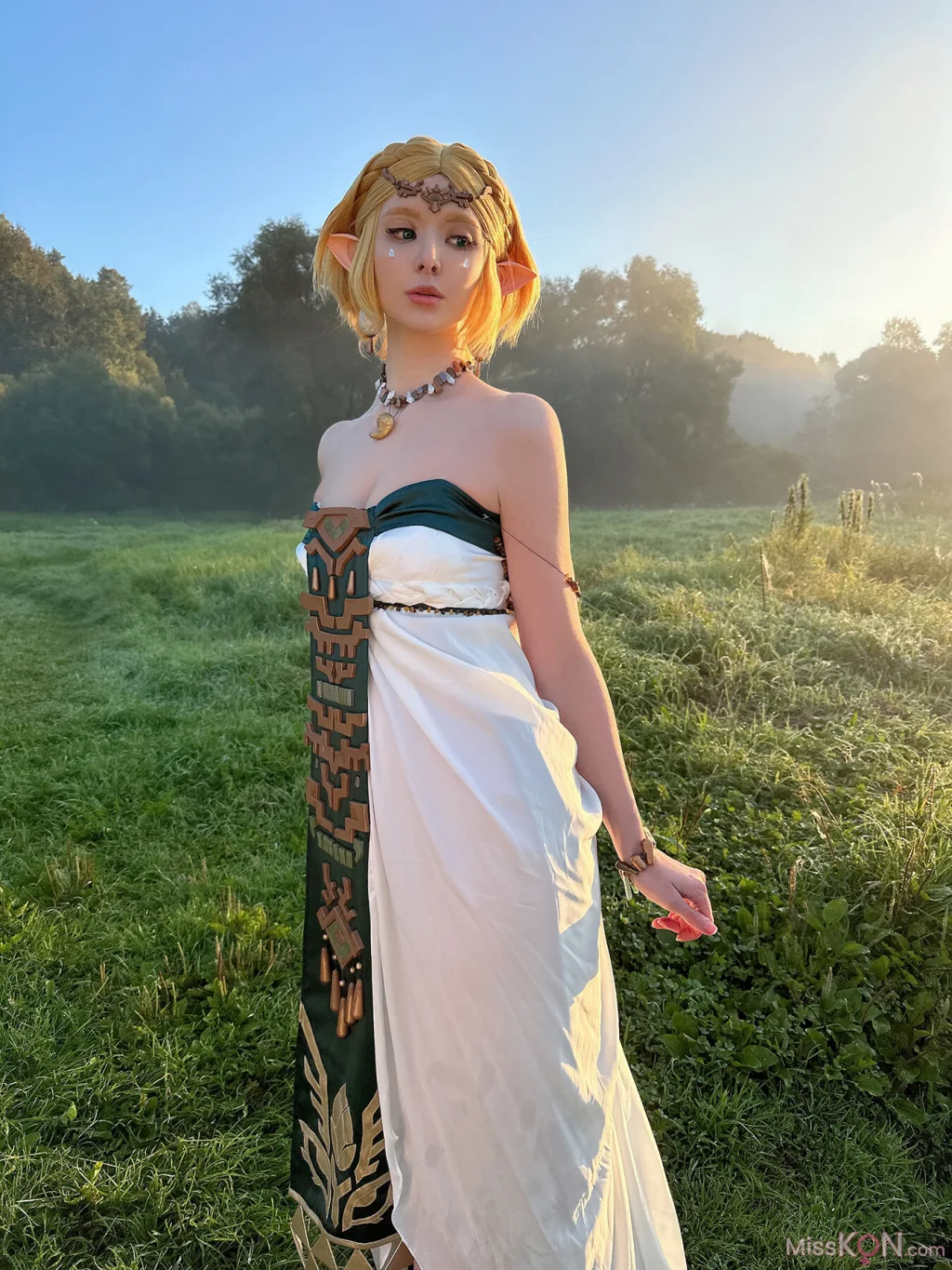 Coser@Vinnegal: Zelda (70 photos)
